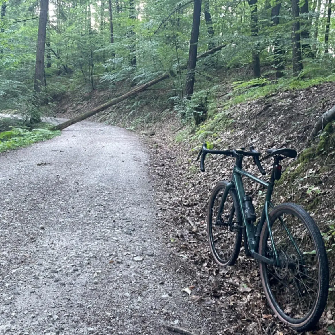 Gravel bike on a woodland trail
