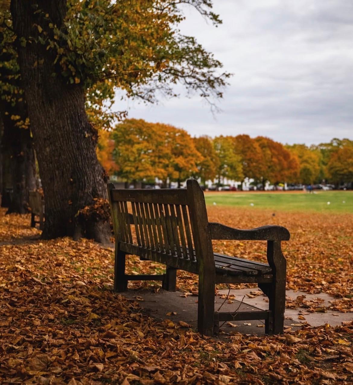 Richmond Green
