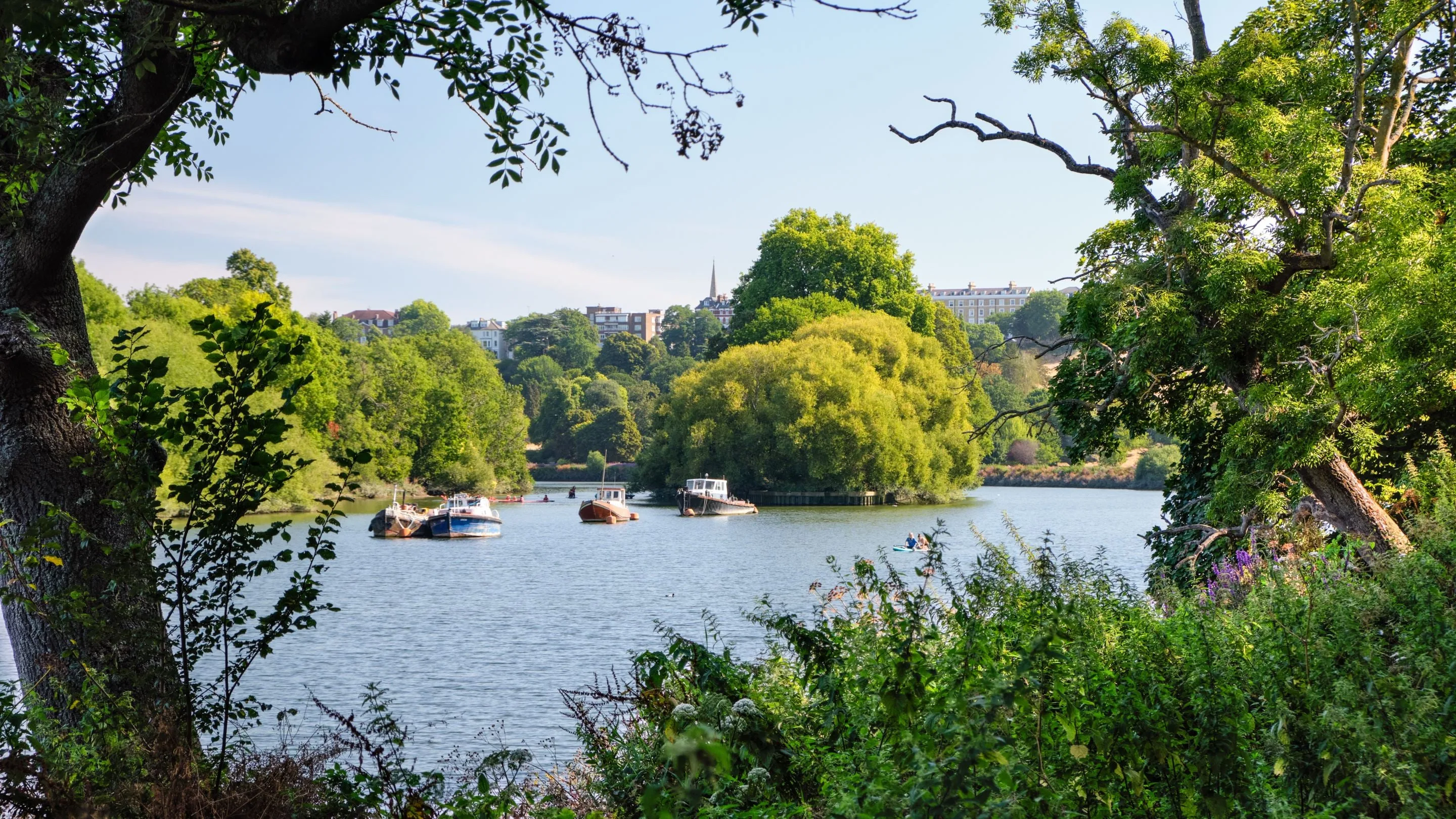 Thames riverside, Richmond