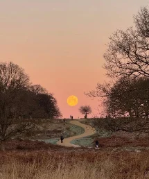 Picnic spot in Richmond Park